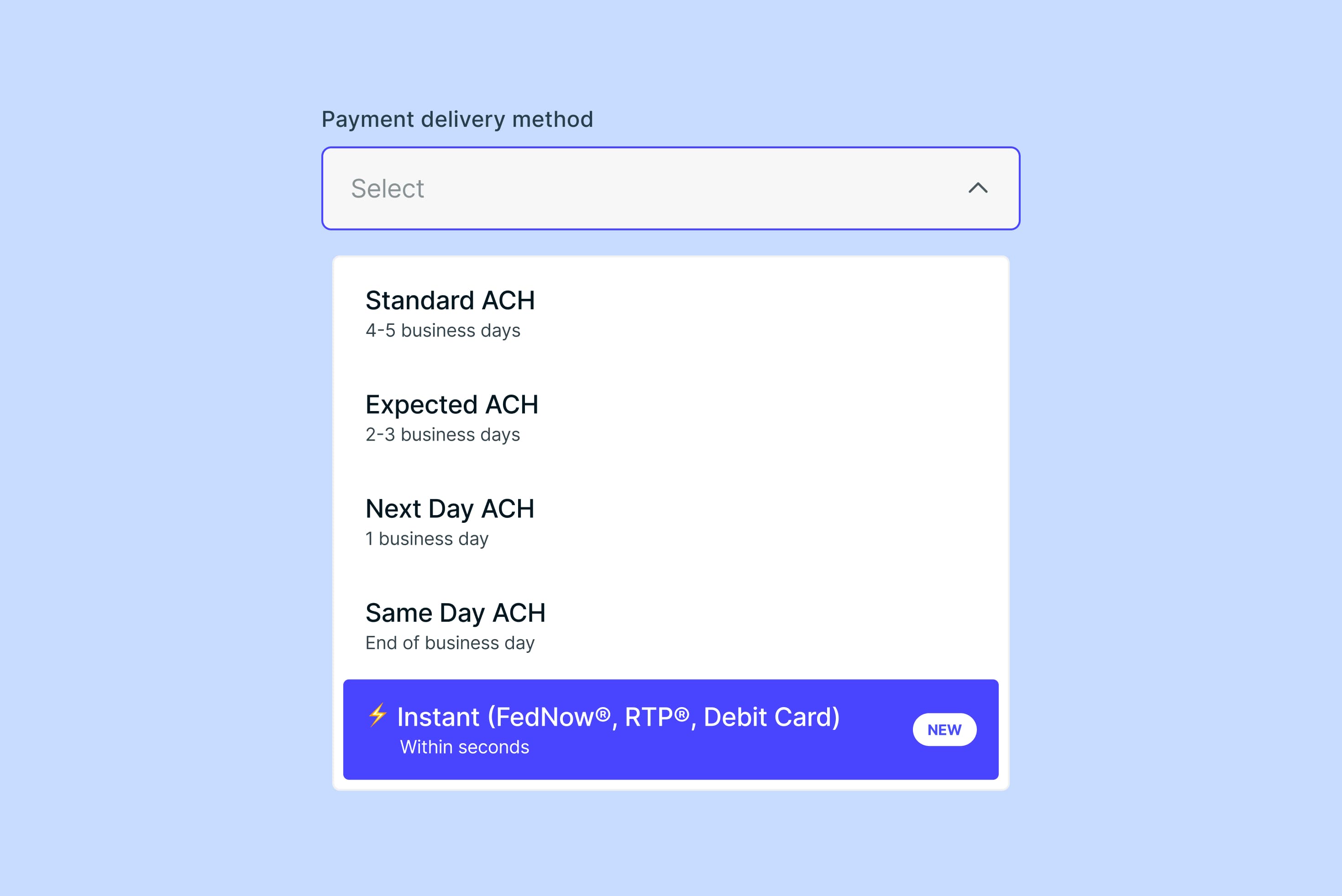 Website Asset